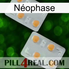Néophase 25